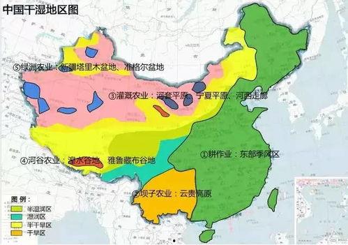 51精产区一区一区三区免费,揭秘区域发展新亮点”